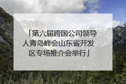 第六届跨国公司领导人青岛峰会山东省开发区专场推介会举行