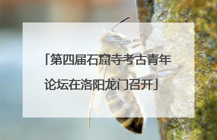 第四届石窟寺考古青年论坛在洛阳龙门召开