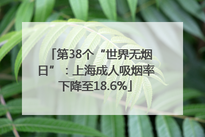 第38个“世界无烟日”：上海成人吸烟率下降至18.6%