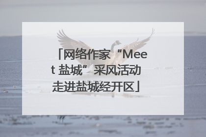 网络作家“Meet 盐城”采风活动走进盐城经开区