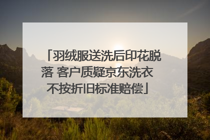 羽绒服送洗后印花脱落 客户质疑京东洗衣不按折旧标准赔偿
