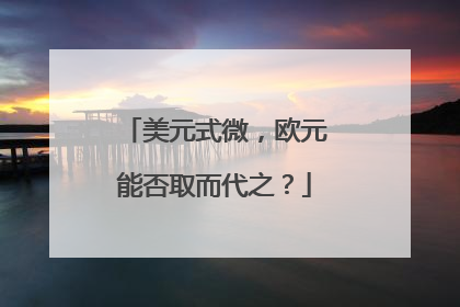 美元式微，欧元能否取而代之？
