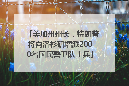 美加州州长：特朗普将向洛杉矶增派2000名国民警卫队士兵