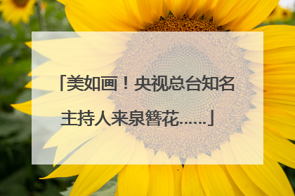 美如画！央视总台知名主持人来泉簪花……