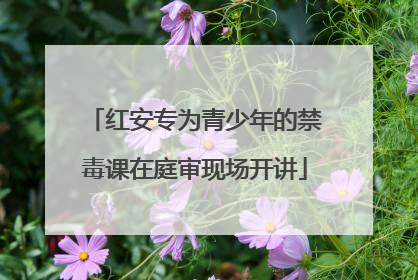 红安专为青少年的禁毒课在庭审现场开讲