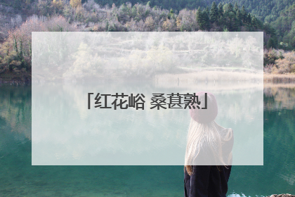 红花峪 桑葚熟