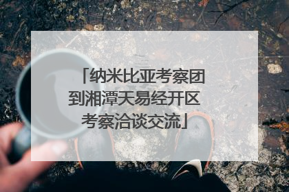 纳米比亚考察团到湘潭天易经开区考察洽谈交流