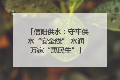 信阳供水：守牢供水“安全线” 水润万家“惠民生”