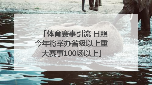 体育赛事引流 日照今年将举办省级以上重大赛事100场以上