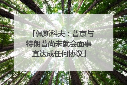 佩斯科夫：普京与特朗普尚未就会面事宜达成任何协议