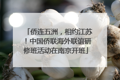 侨连五洲，相约江苏！中国侨联海外联谊研修班活动在南京开班