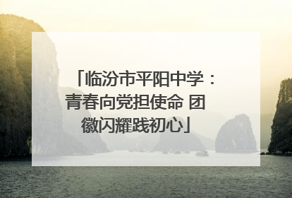 临汾市平阳中学：青春向党担使命 团徽闪耀践初心