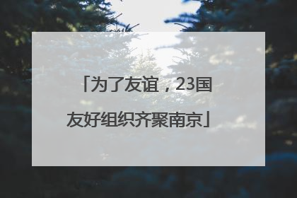 为了友谊，23国友好组织齐聚南京
