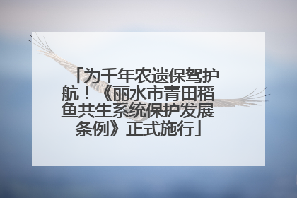 为千年农遗保驾护航！《丽水市青田稻鱼共生系统保护发展条例》正式施行