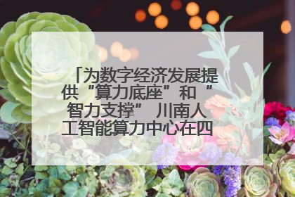 为数字经济发展提供“算力底座”和“智力支撑” 川南人工智能算力中心在四川泸州启动