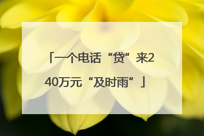 一个电话“贷”来240万元“及时雨”