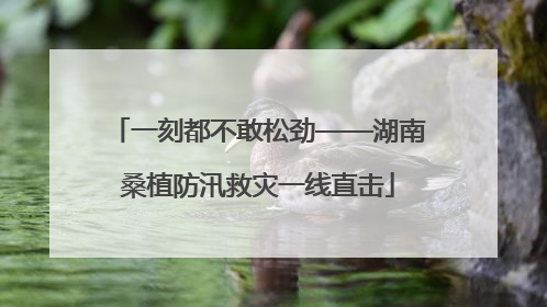 一刻都不敢松劲——湖南桑植防汛救灾一线直击
