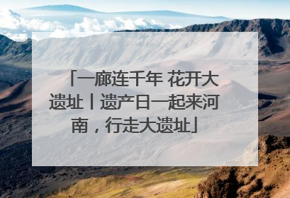 一廊连千年 花开大遗址丨遗产日一起来河南，行走大遗址