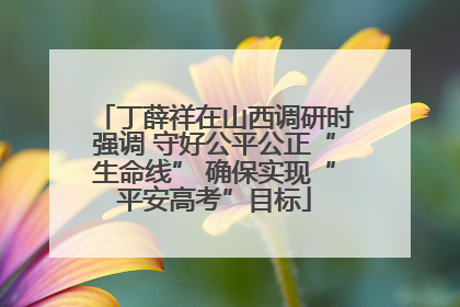 丁薛祥在山西调研时强调 守好公平公正“生命线” 确保实现“平安高考”目标