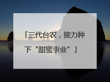 三代台农，接力种下“甜蜜事业”