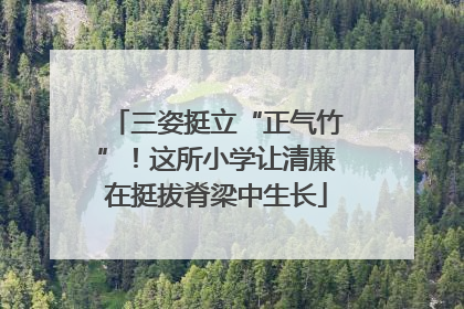 三姿挺立“正气竹”！这所小学让清廉在挺拔脊梁中生长