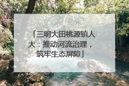 三明大田桃源镇人大：推动河流治理，筑牢生态屏障