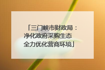 三门峡市财政局：净化政府采购生态 全力优化营商环境
