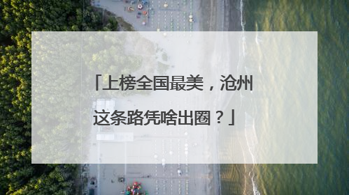 上榜全国最美，沧州这条路凭啥出圈？