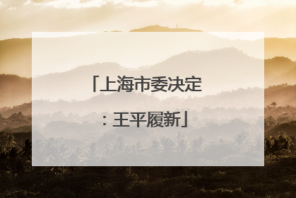 上海市委决定：王平履新