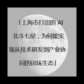 上海市打出的 AI 北斗七星，为何能实现从技术研发到产业协同的闭环生态