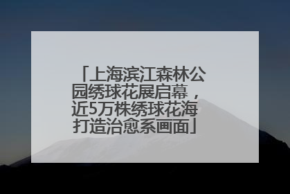 上海滨江森林公园绣球花展启幕，近5万株绣球花海打造治愈系画面