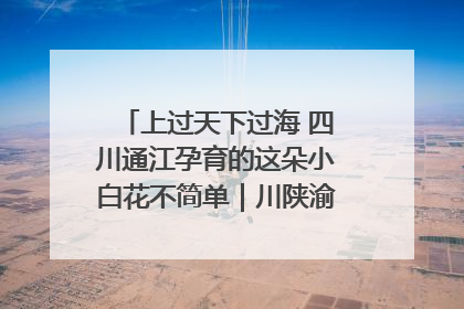 上过天下过海 四川通江孕育的这朵小白花不简单｜川陕渝网络名人巴中行