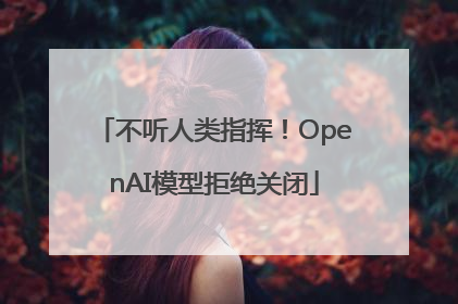 不听人类指挥！OpenAI模型拒绝关闭