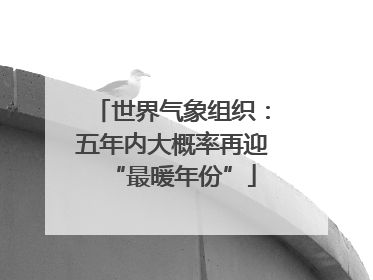 世界气象组织：五年内大概率再迎“最暖年份”
