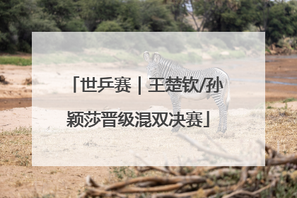世乒赛｜王楚钦/孙颖莎晋级混双决赛