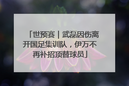 世预赛｜武磊因伤离开国足集训队，伊万不再补招顶替球员