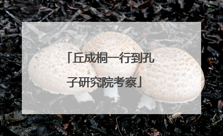 丘成桐一行到孔子研究院考察