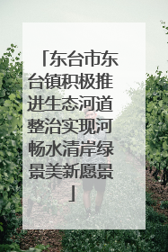 东台市东台镇积极推进生态河道整治实现河畅水清岸绿景美新愿景