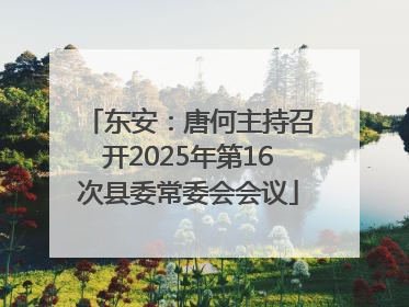 东安：唐何主持召开2025年第16次县委常委会会议