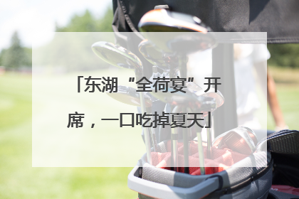 东湖“全荷宴”开席，一口吃掉夏天