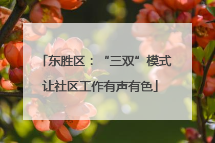 东胜区：“三双”模式让社区工作有声有色