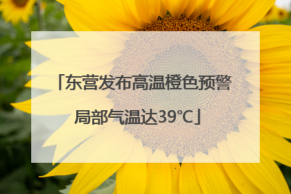东营发布高温橙色预警 局部气温达39℃