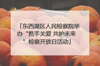 东西湖区人民检察院举办“携手关爱 共护未来”检察开放日活动
