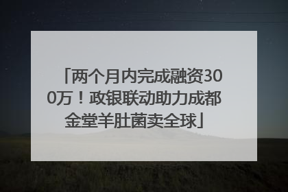 两个月内完成融资300万！政银联动助力成都金堂羊肚菌卖全球