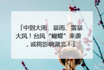 中到大雨、暴雨、雷暴大风！台风“蝴蝶”来袭，或将影响湖北！