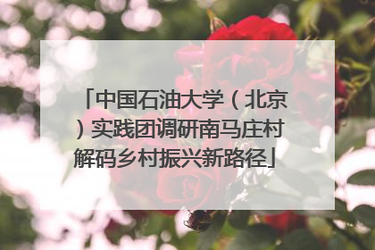 中国石油大学（北京）实践团调研南马庄村解码乡村振兴新路径