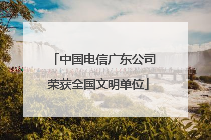 中国电信广东公司荣获全国文明单位