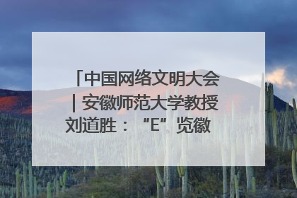 中国网络文明大会｜安徽师范大学教授刘道胜：“E”览徽风，构筑中华民族共有精神家园
