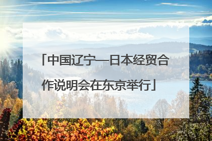 中国辽宁—日本经贸合作说明会在东京举行