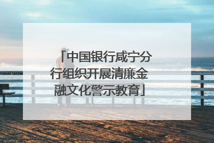 中国银行咸宁分行组织开展清廉金融文化警示教育